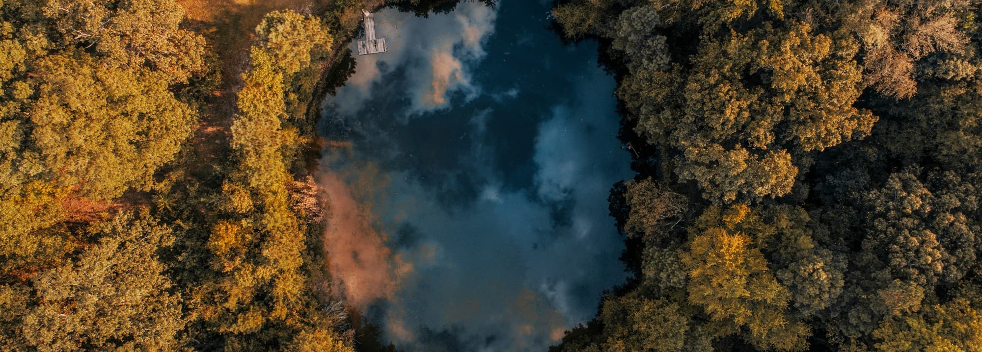 alexander-jawfox-C5uL2 J-gdw-unsplash (1)