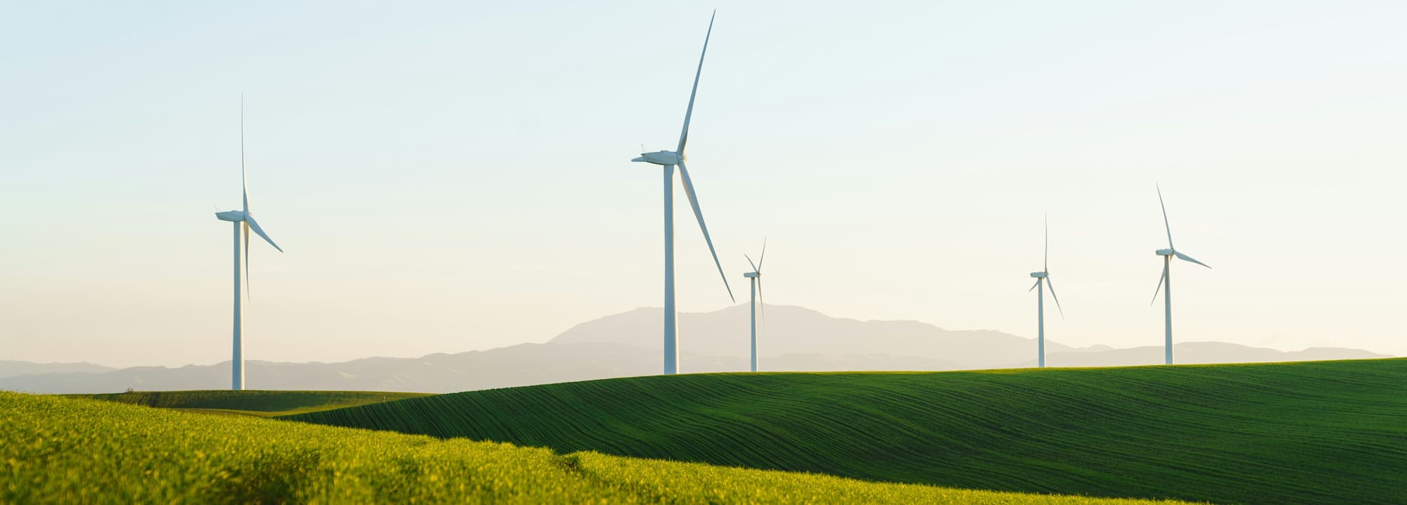 Green Party's Impact