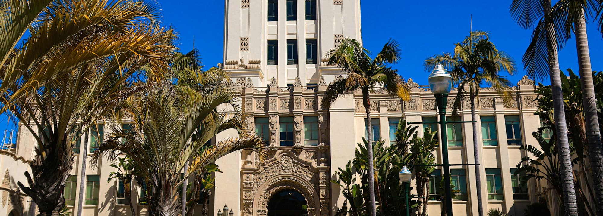 Running for city council