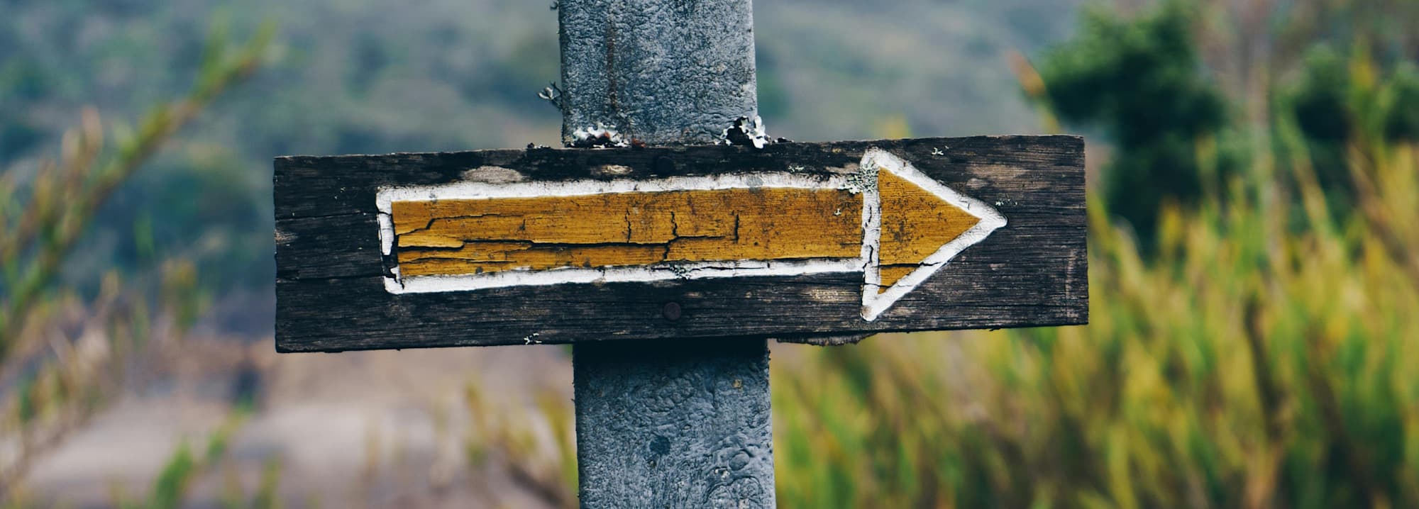 After Winning an Election